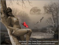 /album/montagens-e-gifs/montagem01-wall-jpg/